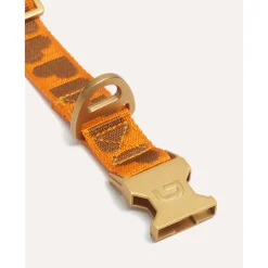 Dogguo Collar - Hondenhalsband - 42-68 cm Oranje Bruin L