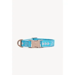 Dogguo Collar Blauw&Zilver - Hondenhalsband