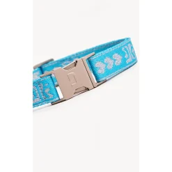 Dogguo Collar Blauw&Zilver - Hondenhalsband