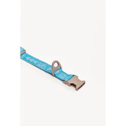 Dogguo Collar Blauw&Zilver - Hondenhalsband