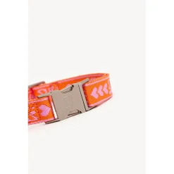 Dogguo Collar Oranje&Pink - Hondenhalsband