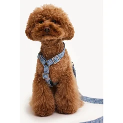 Dogguo Denim Harnas Denim - Hondentuig