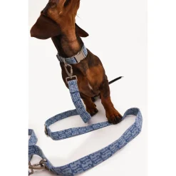 Dogguo Denim Leash - Hondenriem - 23 cm Denim Voor Grote Honden
