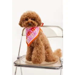 Dogguo Dl-Bandana - Hondenkleding - 55x55 cm Oranje Pink Beige Voor Honden
