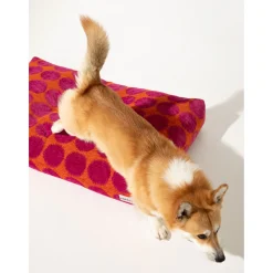 Dogguo Dot Bed - Hondenmatras - 105x65x15 cm Oranje Magenta L