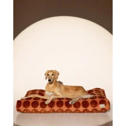 Dogguo Dot Bed - Hondenmatras - 125x75x15 cm Mokka Bruin Xl