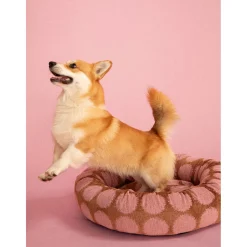 Dogguo Dot Round Bed - Hondenmatras - 55x55x20 cm Mokka Pink S