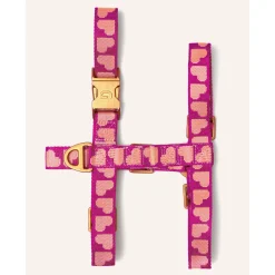 Dogguo Harness - Hondentuig - 20-34 cm Magenta Abrikoos Xs