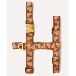 Dogguo Harness - Hondentuig - 20-34 cm Bruin Abrikoos Xs