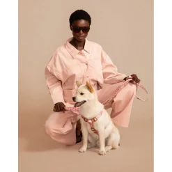 Dogguo Harness - Hondentuig - 31-50 cm Mokka Pink M