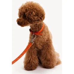 Dogguo Heart Leash - Hondenriem - Oranje