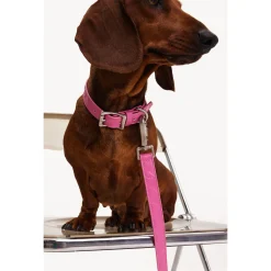 Dogguo Heart Leash - Hondenriem - Roze