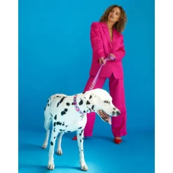 Dogguo Heart Leash Blauw&Raspberry - Hondenriem