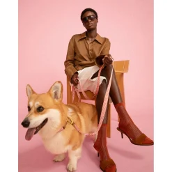 Dogguo Leash - Hondenriem - Pink Mokka S