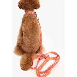 Dogguo Leash - Hondenriem - 23 cm Oranje Pink Voor Grote Honden