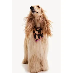 Dogguo Leo-Bandana - Hondenkleding - 55x55 cm Bruin Beige Zwart Voor Honden