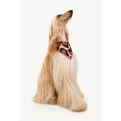 Dogguo Leo-Bandana - Hondenkleding - 55x55 cm Bruin Beige Zwart Voor Honden