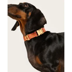 Dogguo Retro Wave Collar - Hondenhalsband - Ø23 cm Roest Pink S