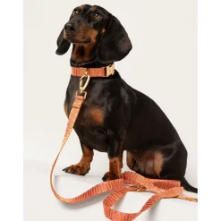 Dogguo Retro Wave Collar - Hondenhalsband - Ø23 cm Roest Pink S