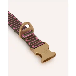 Dogguo Retro Wave Collar - Hondenhalsband - Ø26 cm Groen Pink M