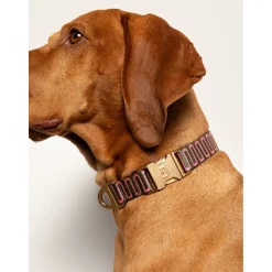 Dogguo Retro Wave Collar - Hondenhalsband - Ø26 cm Groen Pink L