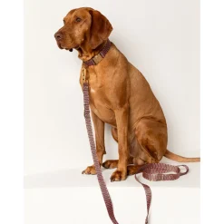 Dogguo Retro Wave Collar - Hondenhalsband - Ø26 cm Groen Pink L