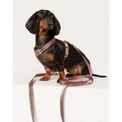 Dogguo Retro Wave Harness - Hondentuig - Groen Pink L