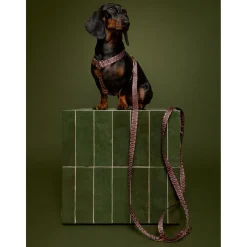 Dogguo Retro Wave Harness - Hondentuig - Groen Pink M