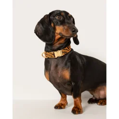 Dogguo Zebra Collar - Hondenhalsband - Ø23 cm Roest Zwart S