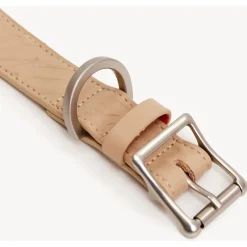 Dogguo Zebra Collar - Hondenhalsband - Beige