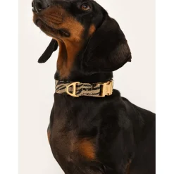 Dogguo Zebra Collar - Hondenhalsband - Ø23 cm Beige Zwart S