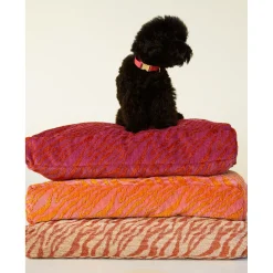 Dogguo Zebra Flat Bed - Hondenmatras - 60x40 cm Pink Oranje S