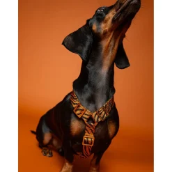 Dogguo Zebra Harness - Hondentuig - Roest Zwart L