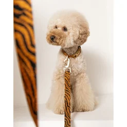 Dogguo Zebra Leash - Hondenriem - 200x2 cm Roest Zwart S
