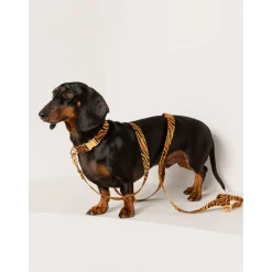 Dogguo Zebra Leash - Hondenriem - 200x2 cm Roest Zwart S