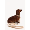 Dogguo Zebra Leash - Hondenriem - Beige