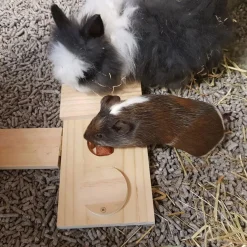 Duvo+ Houten Sniffle `n Snack Puzzle Dan - Speelgoed - 28x12x2.5 cm