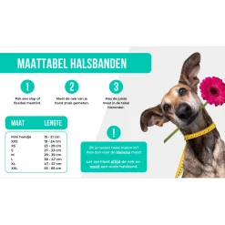 Dwam Halsband Boho Juan - Hondenhalsband