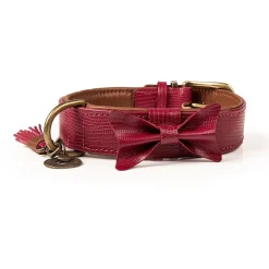 Dwam Halsband Bonnie Bordeaux - Hondenhalsband