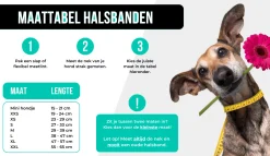 Dwam Halsband Bonnie Bordeaux - Hondenhalsband