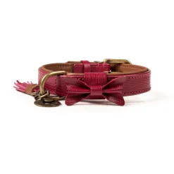 Dwam Halsband Bonnie Bordeaux - Hondenhalsband