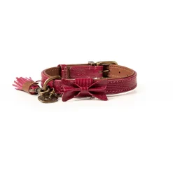 Dwam Halsband Bonnie Bordeaux - Hondenhalsband