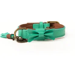 Dwam Halsband Boomer Turquoise - Hondenhalsband