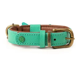 Dwam Halsband Boomer Turquoise - Hondenhalsband