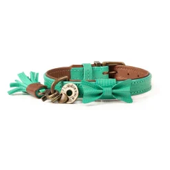Dwam Halsband Boomer Turquoise - Hondenhalsband
