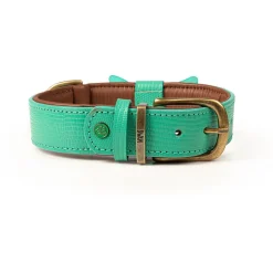 Dwam Halsband Boomer Turquoise - Hondenhalsband