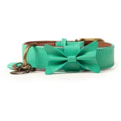 Dwam Halsband Boomer Turquoise - Hondenhalsband
