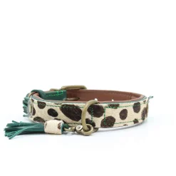 Dwam Halsband Ivy - Hondenhalsband