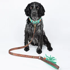 Dwam Halsband Janis Multi-Color - Hondenhalsband