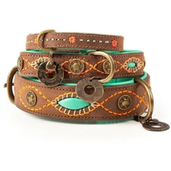 Dwam Halsband Joplin - Hondenhalsband - Bruin Turquoise Oranje 19-24x2 Cm